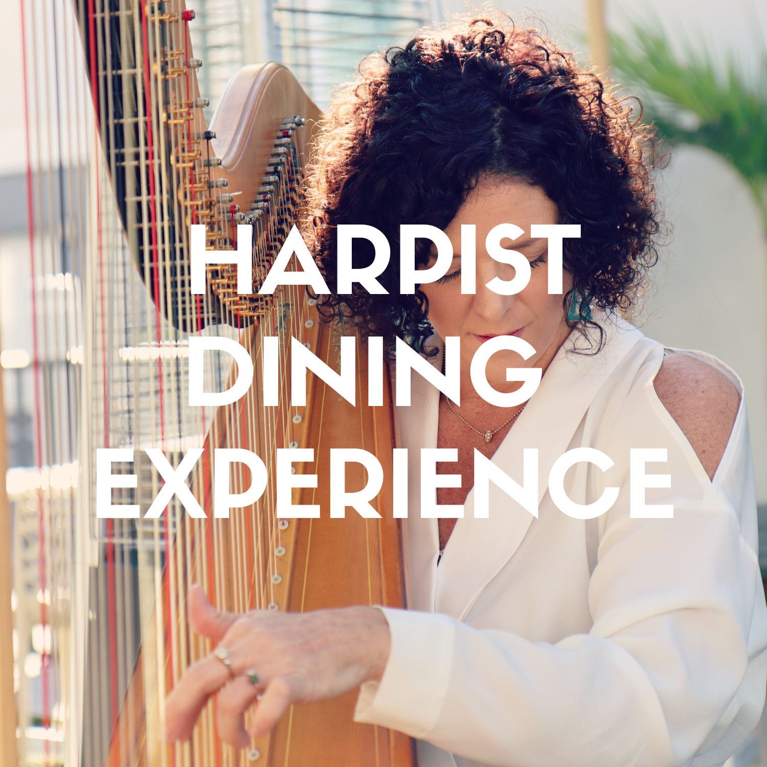 HARP