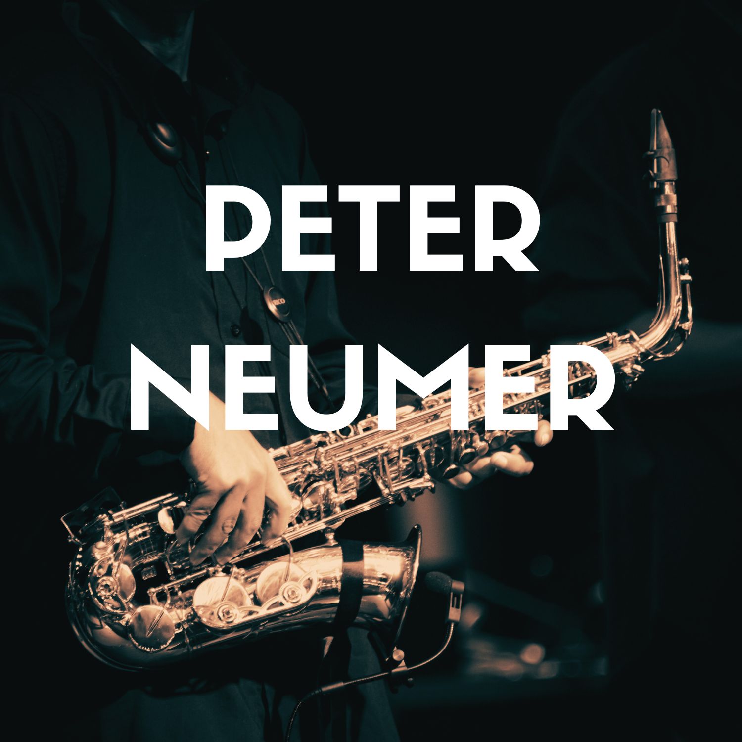 Peter-LiveMusic-FenwayHotel-2025