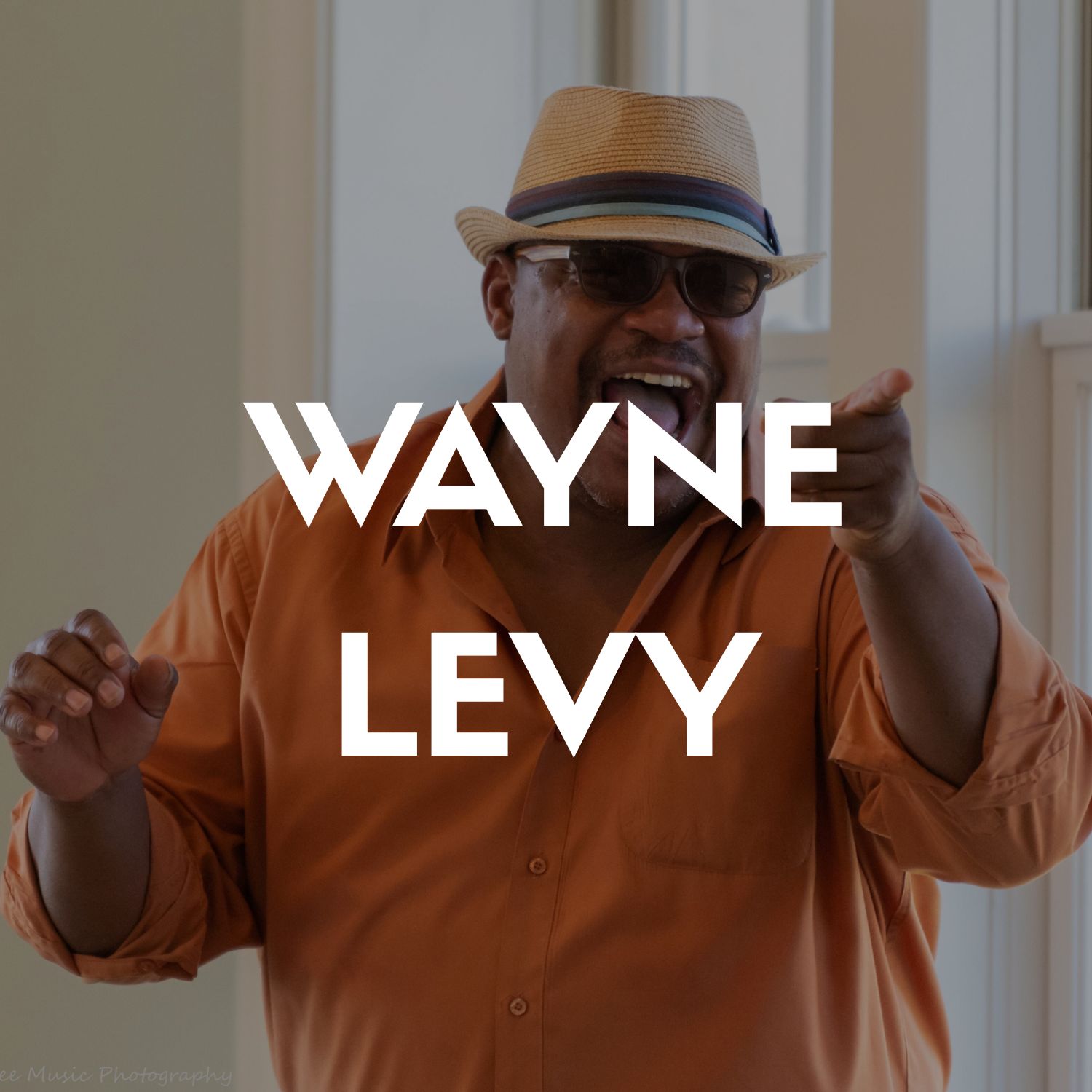waynelevy_fenway