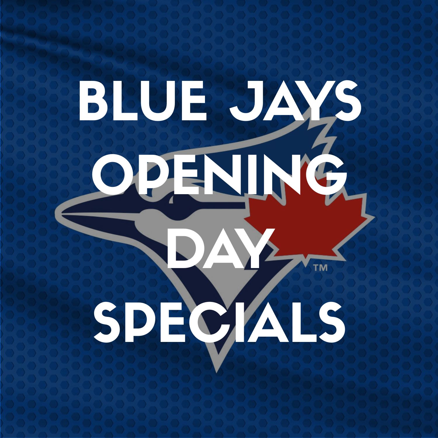 bluejays_openingday