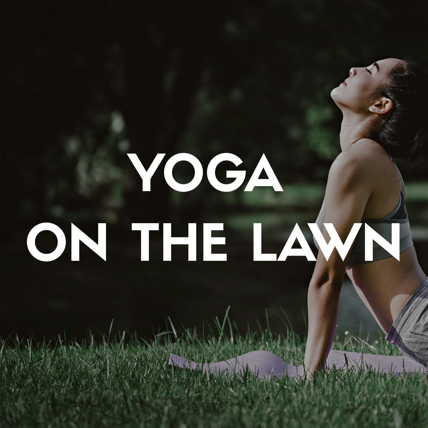 yogaonthelawn_fenway
