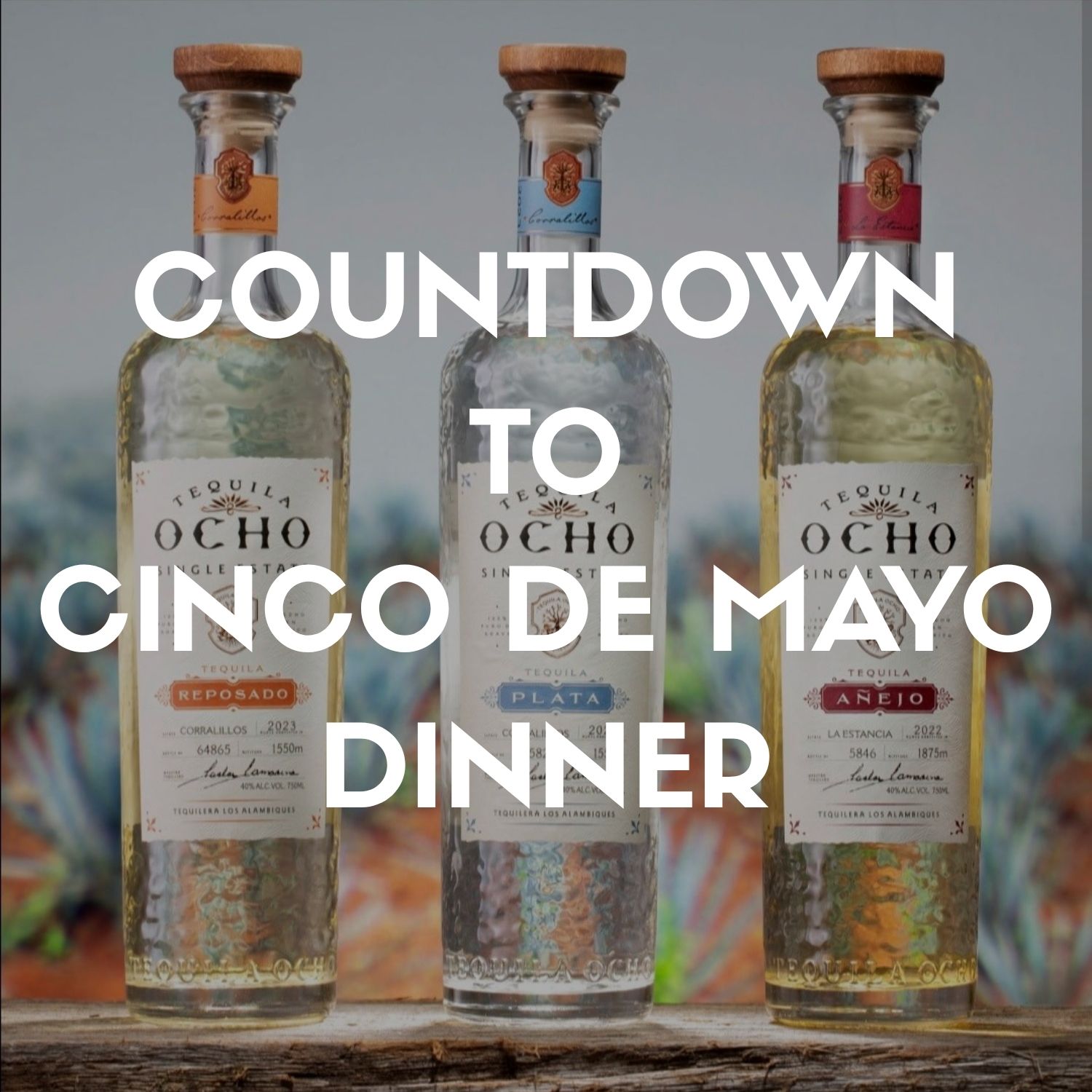 cinco_de_mayo_dinner