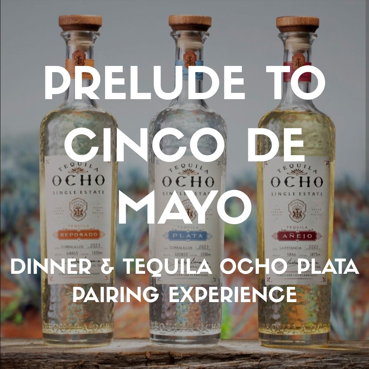 cinco_dinner_fenway_new