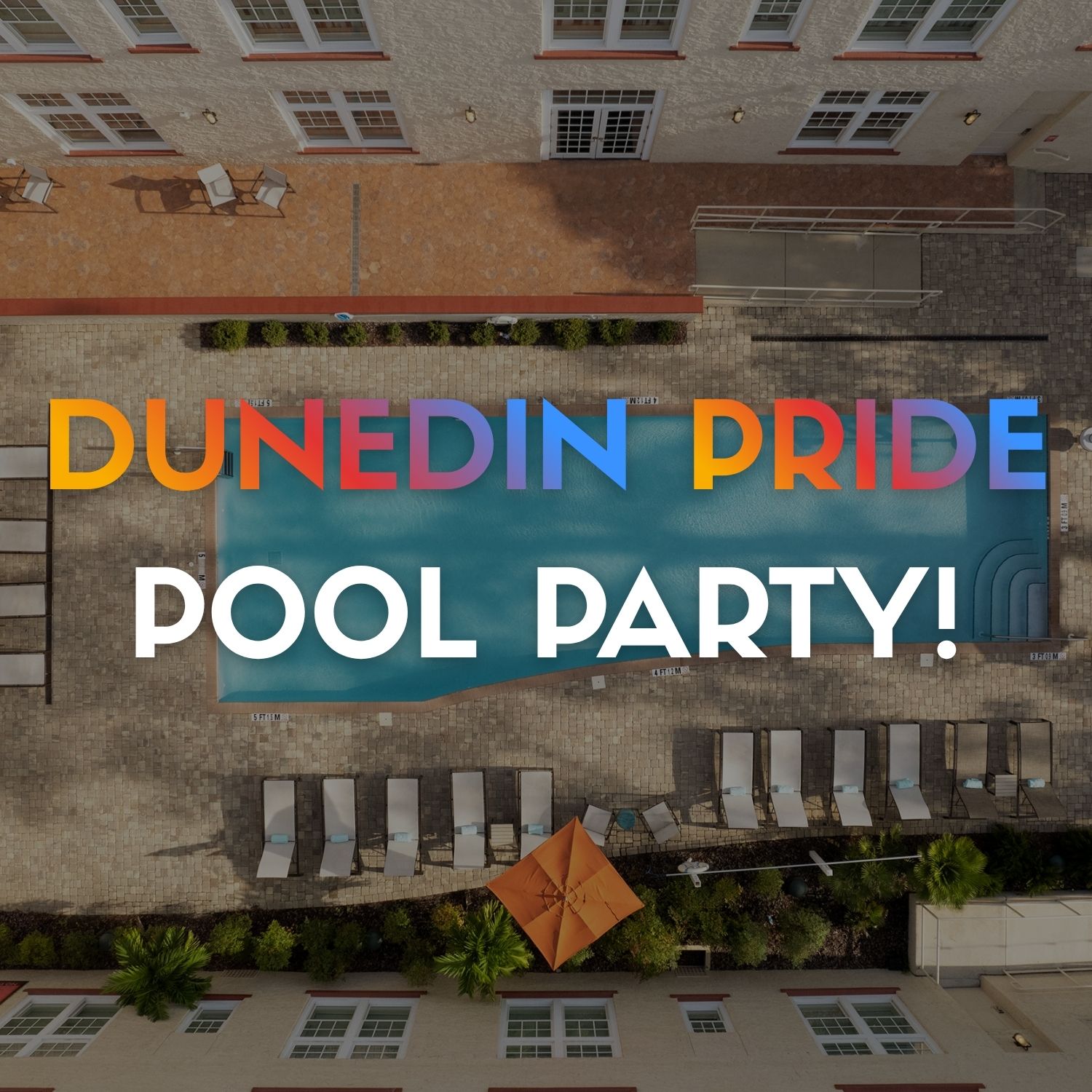 dunedin_pride_pool