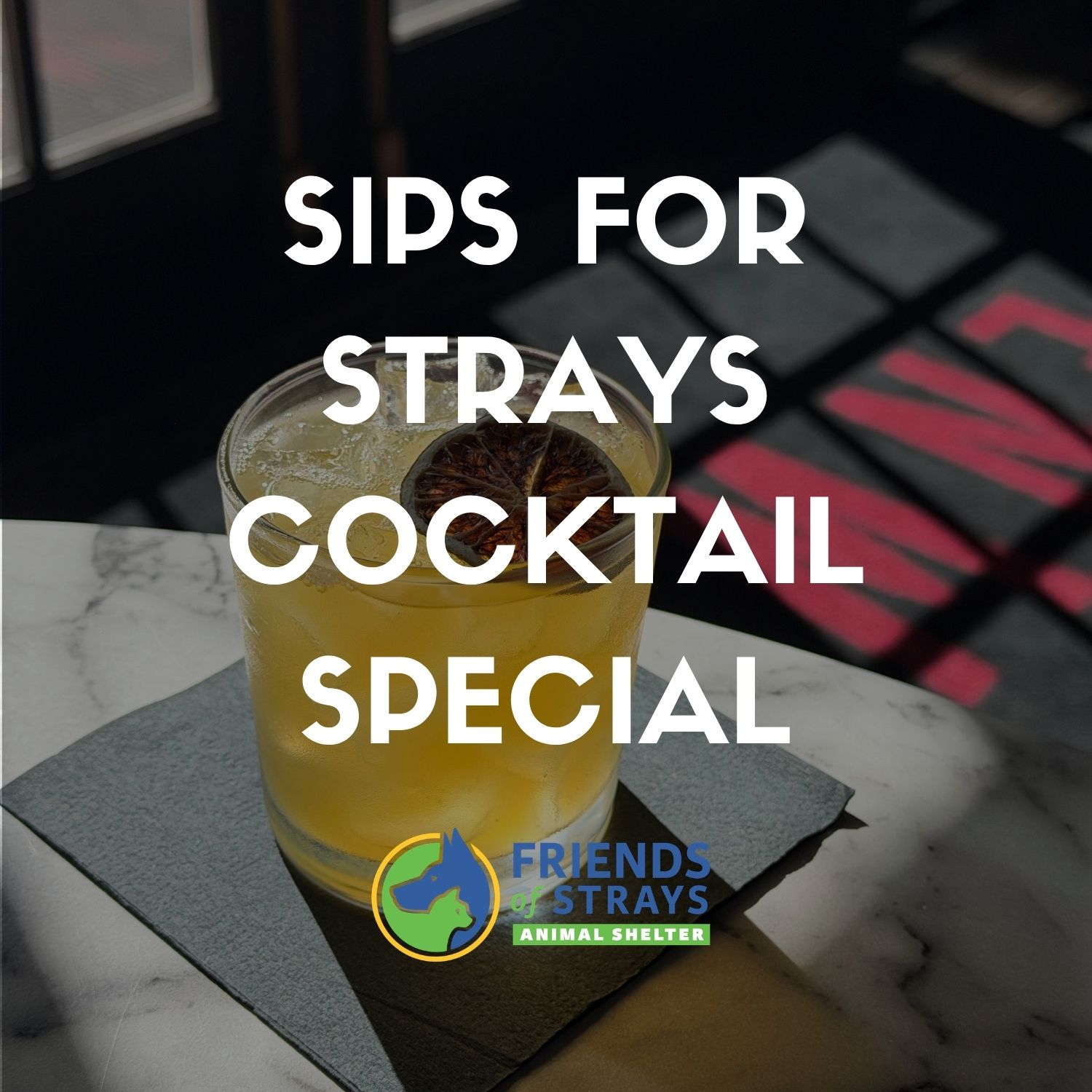 sipsforstrays_pic